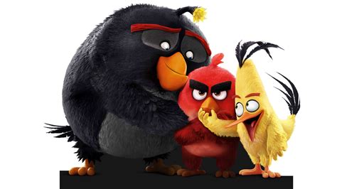 angry birds